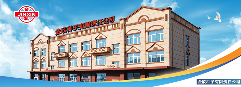 關于金欣種業有限公司